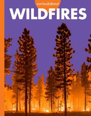 Curious about Wildfires de Deborah Scigliano