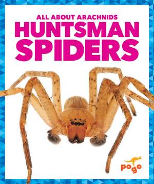 Huntsman Spiders de Jenna Lee Gleisner