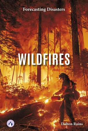Wildfires de Dalton Rains