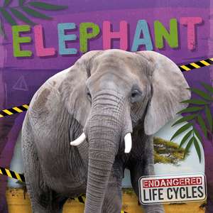 Elephant de E.C. Andrews