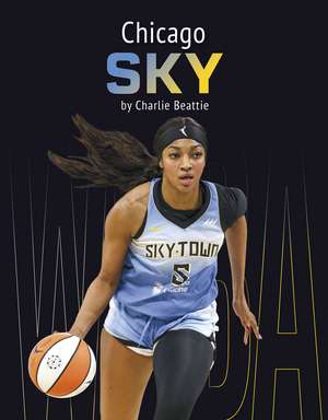 Chicago Sky de Charlie Beattie