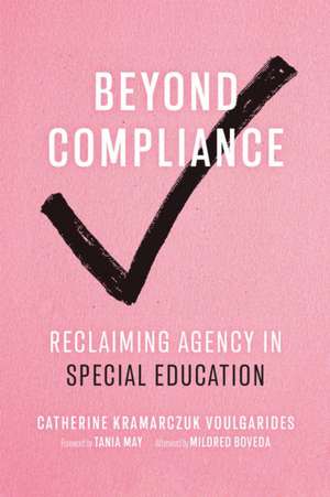 Beyond Compliance de Catherine Kramarczuk Voulgarides