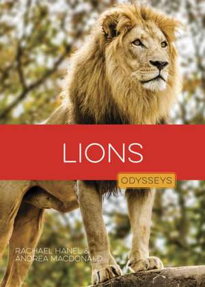 Lions de Rachael Hanel