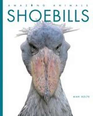 Shoebills de Mari Bolte