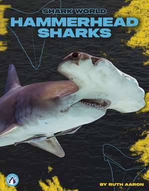 Hammerhead Sharks de Ruth Aaron