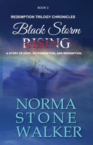 Black Storm Rising de Stone-Walker