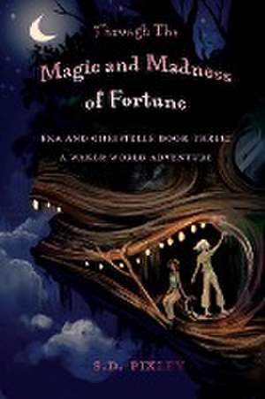 Through Magic and Madness de S. D. Pixley