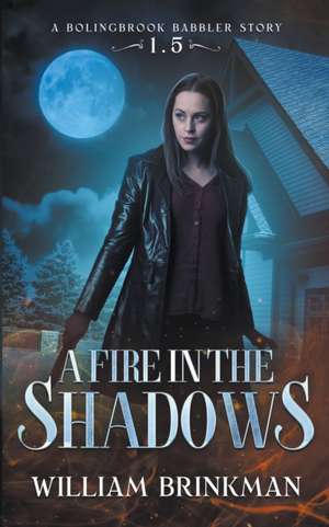 A Fire in the Shadows de William Brinkman