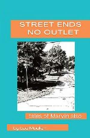 Street Ends No Outlet de Lee Anians-Mueller