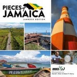 Pieces of Jamaica de Sean Henry