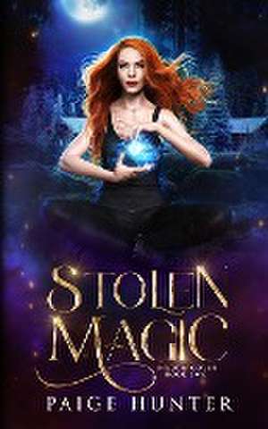 Stolen Magic de Heather Young-Nichols