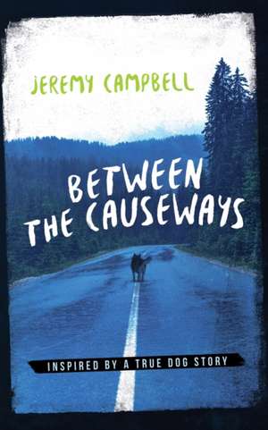 Between the Causeways de Jeremy Campbell