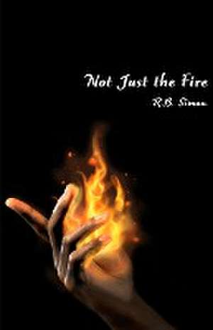 Not Just the Fire de R. B. Simon