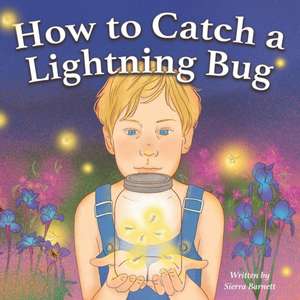 How to Catch a Lightning Bug de Sierra Barnett