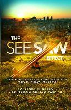 The Seesaw Effect de Renee C Meeks