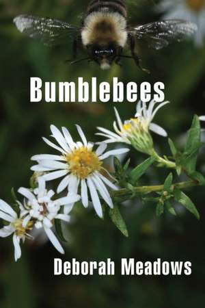 Bumblebees de Deborah Meadows