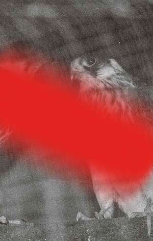 Modern Animal: A Second Cycle of Lectures on the Modern Lives of Animals de Yevgenia Belorusets