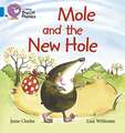 Mole and the New Hole