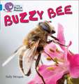 Buzzy Bees