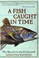 Fish Caught in Time, A