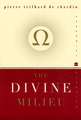 Divine Milieu, The