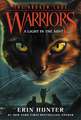 Warriors