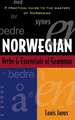 Norwegian Verbs and Essentials of Grammar