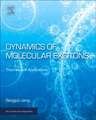 Dynamics of Molecular Excitons