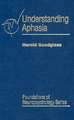 Understanding Aphasia