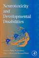 International Review of Research in Mental Retardation: Neurotoxicity and Developmental Disabilities