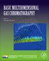 Basic Multidimensional Gas Chromatography