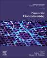 Nanoscale Electrochemistry