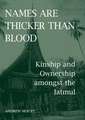 Names are Thicker than Blood: Kinship and Ownership amongst the Iatmul