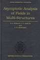 Asymptotic Analysis of Fields in Multi-structures