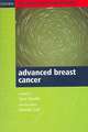 Palliative Care Consultations in Advanced Breast Cancer