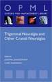 Trigeminal Neuralgia and Other Cranial Neuralgias: A Practical Personalised Holistic Approach