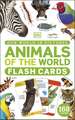 Our World in Pictures Animals of the World Flash Cards