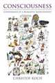Consciousness