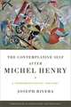 Contemplative Self after Michel Henry, The – A Phenomenological Theology