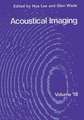 Acoustical Imaging 18