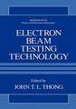 Electron Beam Testing Technology