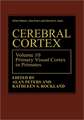 Cerebral Cortex: Volume 10 Primary Visual Cortex in Primates