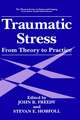 Traumatic Stress: From Theory to Practice