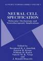 Neural Cell Specification: Molecular Mechanisms and Neurotherapeutic Implications