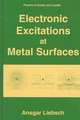 Electronic Excitations at Metal Surfaces