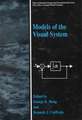 Models of the Visual System