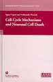 Cell-Cycle Mechanisms and Neuronal Cell Death