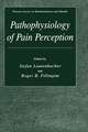 Pathophysiology of Pain Perception