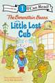 The Berenstain Bears and the Little Lost Cub: Level 1