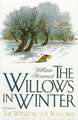 The Willows in Winter